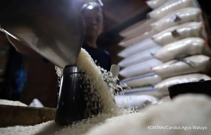 Indonesia Sees Rice Output Down in June, July Compared to Last Year