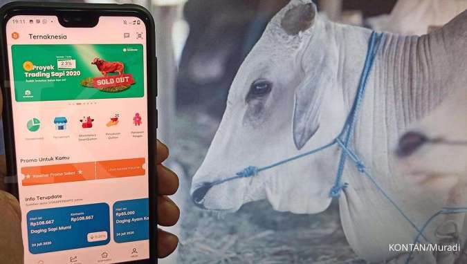 Bisnis hewan kurban makin ramai melalui jalur digital