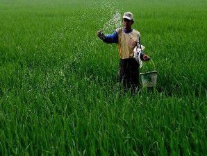 Wapres Boediono menilai pertanian belum juga membaik