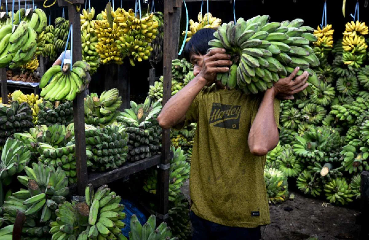 Begini Cara Konsumsi Pisang biar Bisa Menurunkan Gula Darah Penderita Diabetes