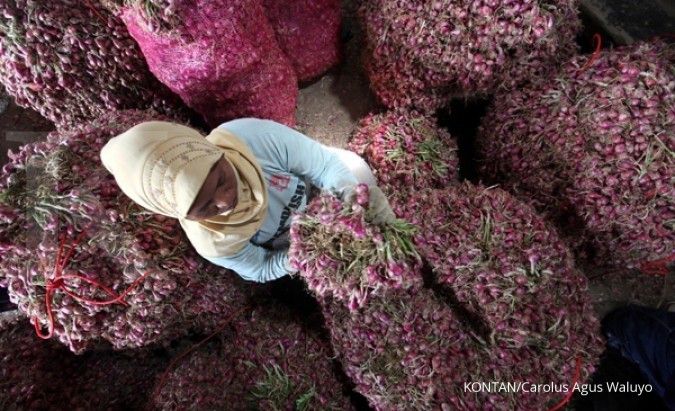 Terus naik, harga bawang di Sampit Rp 48.000