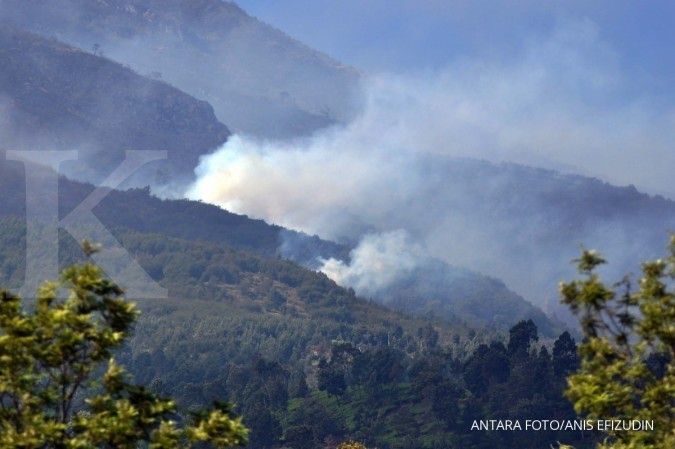 Kebakaran hutan di Sumatera dan Kalimantan meluas