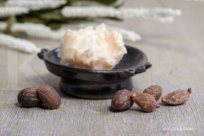 Manfaat Shea Butter dalam Produk Body Care 