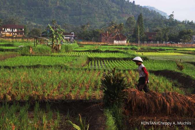 Marak Informasi Palsu Soal Petani Milenial & Brigade Pangan, Kementan Peringatkan Ini