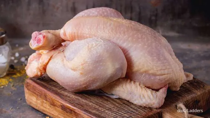 Ini Perbedaan Ayam Kampung dan Ayam Negeri dari Segi Tekstur hingga Warna