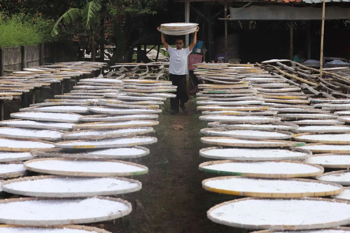 Modal Gampang Diakses, Begini Persyaratan PNM ULaMM 