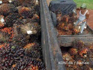 UKM komoditi Indonesia berpotensi jadi penerima pinjaman terbesar IFC