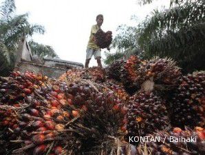 Impor India kerek harga minyak sawit