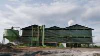 Menthobi Karyatama (MKTR) Target Produksi Tandan Buah Segar 336.400 Ton pada 2026