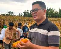 Dongkrak Produktivitas Jagung, Begini Strategi Sumber Energi Pangan