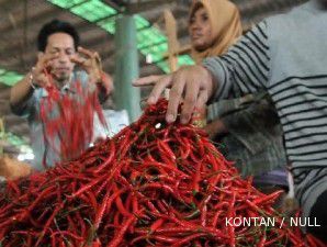 Permintaan naik, harga cabai makin pedas 