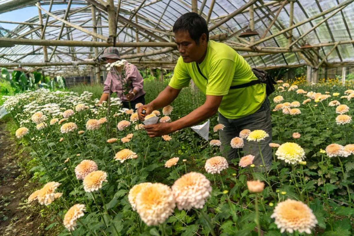 Prakiraan Cuaca DI Yogyakarta Hari Minggu (11/6) Sleman Potensi Turun Hujan Sedang