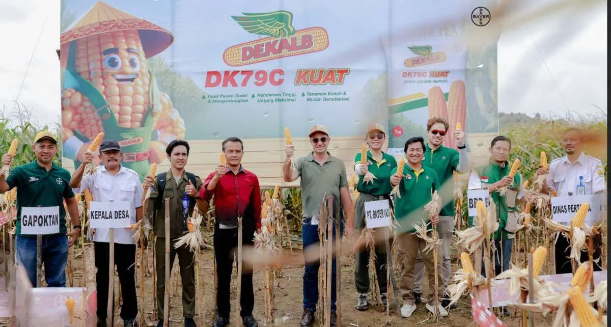 Bayer Dorong Produktivitas Jagung di Jawa Tengah
