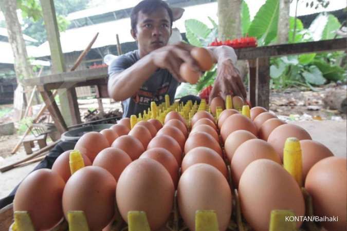 Harga telur ayam berangsur naik, simak data terbaru (28/1)