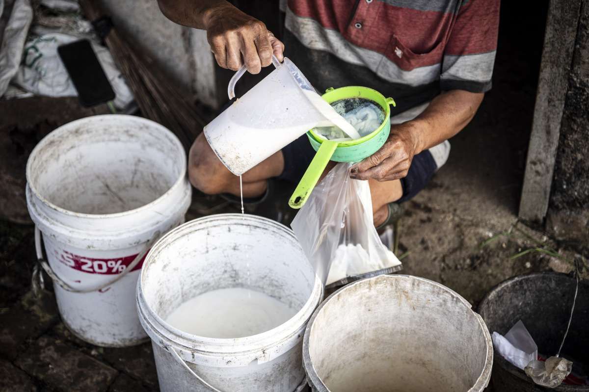 Susu Bermerek Bakal Terdepak dari MBG