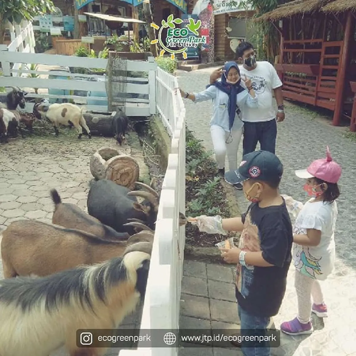 Wisata murah ke Kota Batu, ini dia harga tiket Eco Green Park 