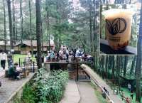 Ngopi dan Nongkrong di Kopi Daong