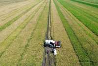 Siap Hadapi Ancaman El-Nino, Mentan Tegaskan Cadangan Beras Capai 4,5 Juta Ton