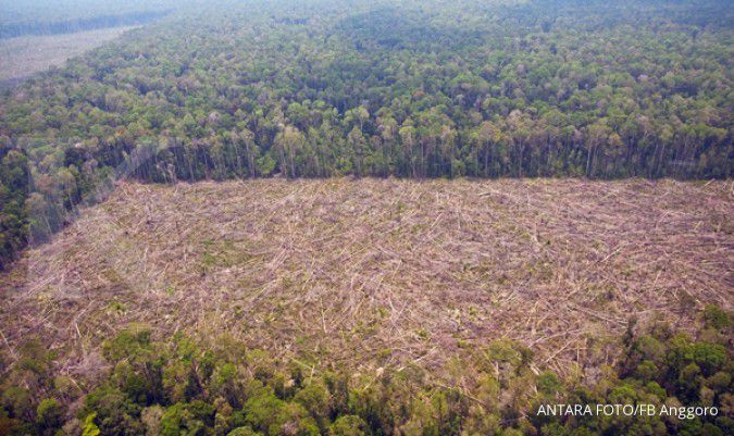 Izin pemanfaatan hasil hutan diobral