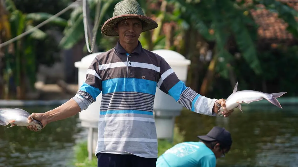 Ini Dampak Negatif yang Ditimbulkan Imbas Dugaan Fraud eFishery