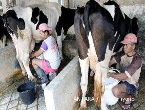 Sebanyak 75% bahan baku susu masih diimpor