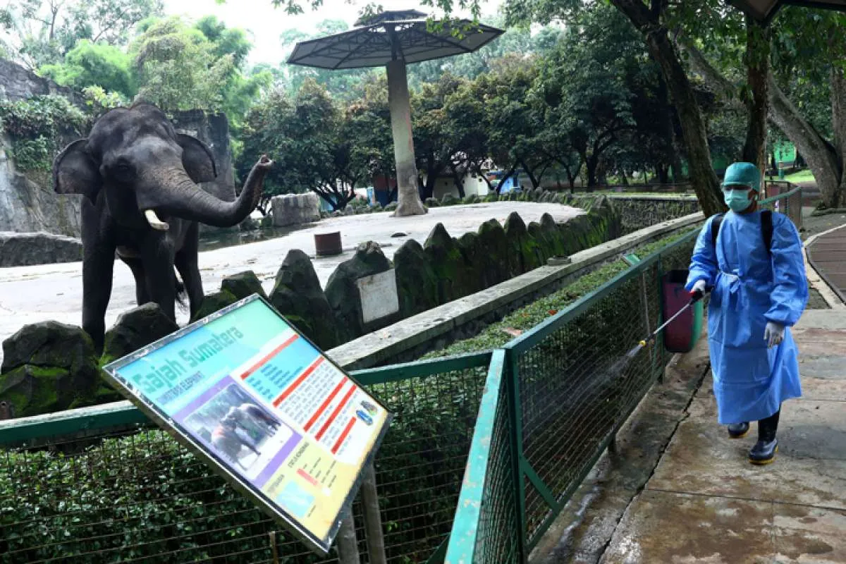 Wisata Ragunan tutup sementara mulai 16 Mei 2021