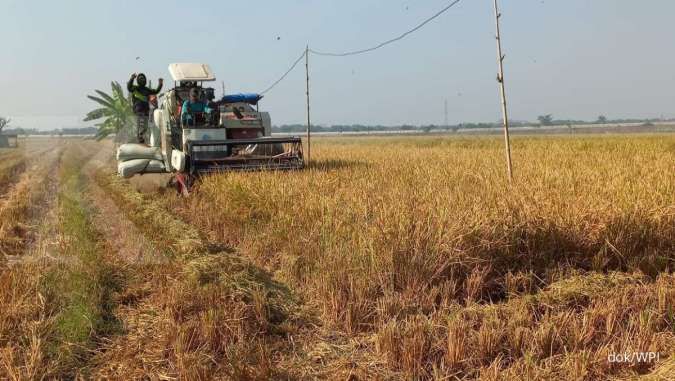 Dorong produksi maksimal, Wilmar Padi Indonesia perkuat kemitraan dengan petani