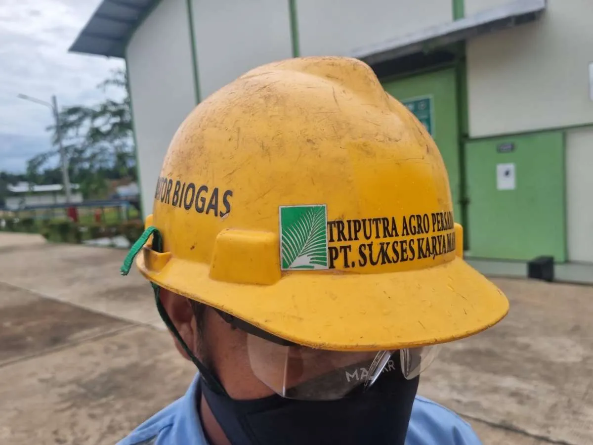 PLTBg dan Kemitraan Satu Atap: Cara Triputra Bangun Ekosistem Sawit Berkelanjutan