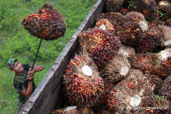 10 Negara Produsen Minyak Kelapa Sawit Terbesar di Dunia