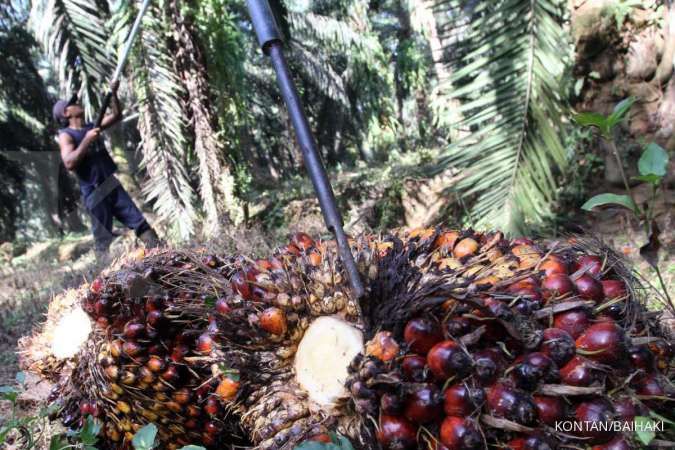 Sampoerna Agro (SGRO) meraup laba Rp 509,66 miliar di kuartal ketiga tahun ini