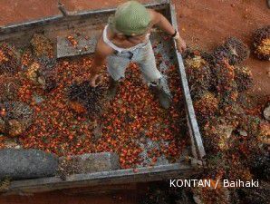 Harga CPO pagi ini masih melanjutkan penguatan kemarin