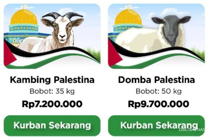 Kurban di Palestina Lewat BAZNAS