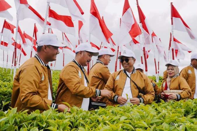 PalmCo Pacu Mutu Teh Kayu Aro Hadapi Pasar Global