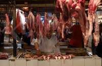 Tekan Harga, KSP Minta Realisasi Impor Daging Sapi Dipercepat