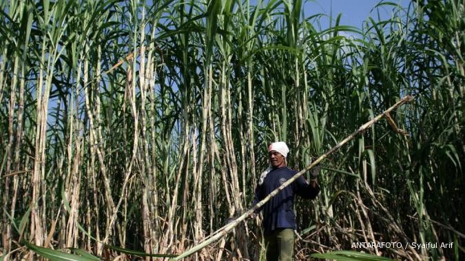 Rajawali Corpora siap garap perkebunan tebu