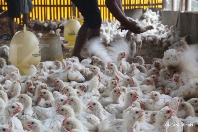 Ikuti putusan WTO, Indonesia perbarui aturan impor ayam