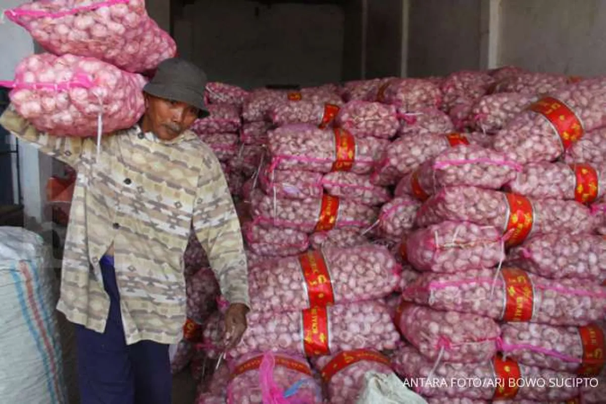 Kementan tegaskan tak pernah bebaskan RIPH bawang putih