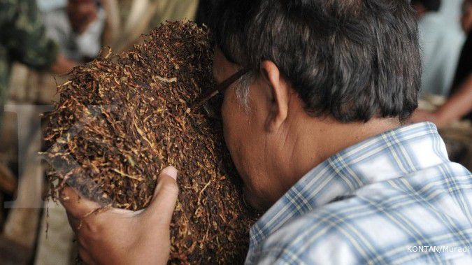 Govt prepares regulation for tobacco import