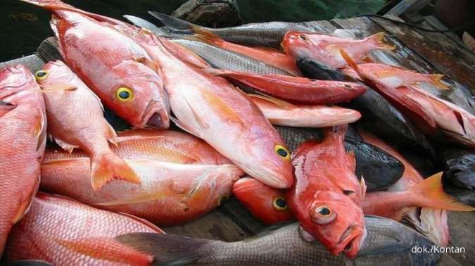 Inilah Daftar Ikan yang Boleh Dimakan Penderita Asam Urat dan Tips Memasaknya!
