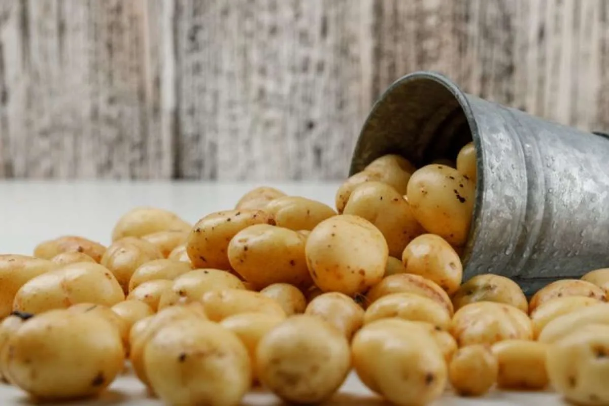 Bukan cuma kentang, ini 5 cara mengobati mata bintitan dengan bahan-bahan alami