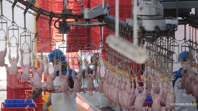 Sierad segera ekspor daging ayam olahan ke Jepang
