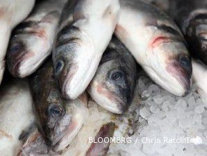 Cuaca ekstrim, harga Tuna justru turun