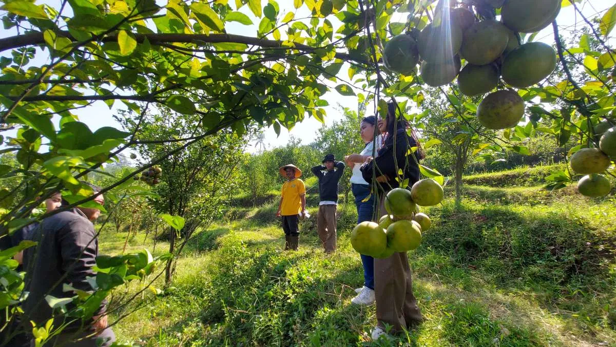 Jadwal Buka Puasa Malang: Ini Waktu Maghrib Rabu 25 Februari 2026