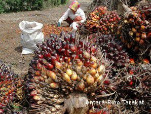 LSIP Kena Getah dari Rendahnya Harga Karet