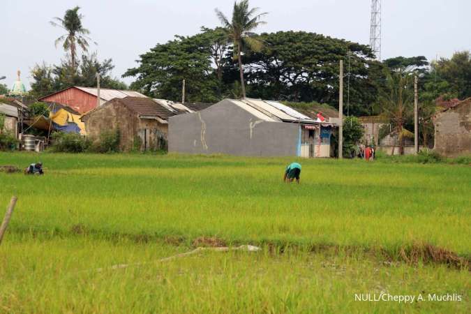 Menteri Ara Ingatkan Pengembang Tak Jadikan Sawah Sebagai Lahan Perumahan
