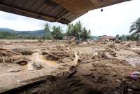 Kayu Gelondongan Terbawa Banjir di Sumut, Ini Penjelasan Kemenhut 