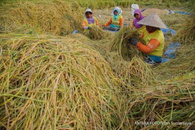 Nilai Tukar Petani Turun Jadi 124,33 pada Oktober 2025