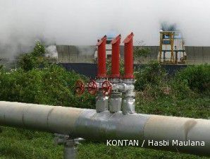 PLN minta pengembang swasta ikut tanggung risiko