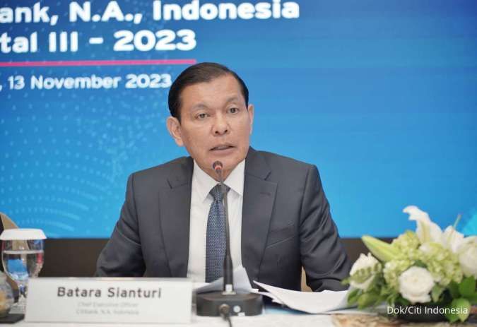 CEO Citi Indonesia Menilai Kredit Investasi Bakal Tertunda Karena Faktor Pemilu