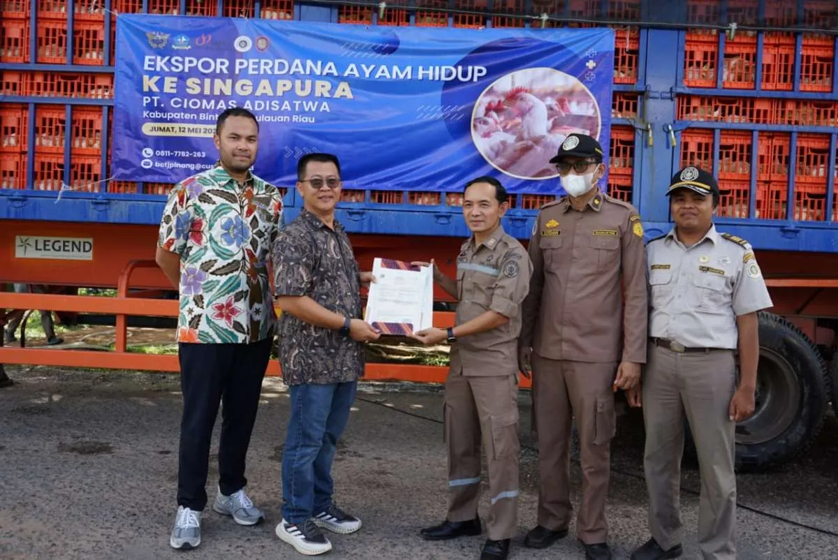 Kebutuhan di Singapura Meningkat Tiap Tahun, RI Ekspor Ayam Hidup ke Negeri Merlion